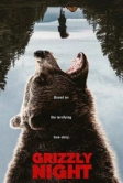 Ночь гризли (2026)